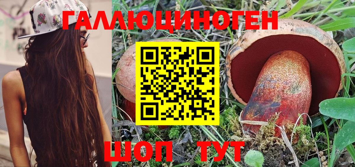 Псилоцибиновые грибы ЛСД Борзя